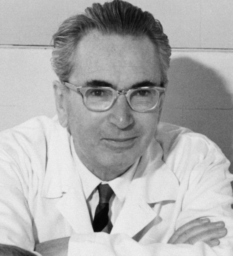 Viktor Frankl — retrato histórico