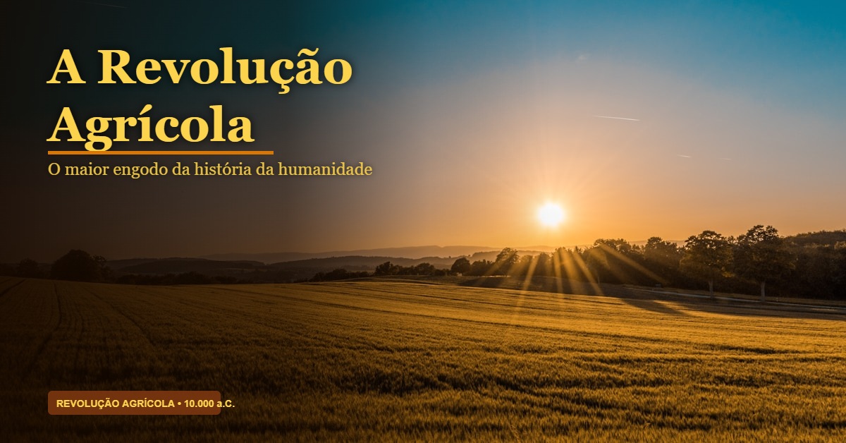 Vista aérea de campos de trigo dourados sob luz quente do entardecer, representando a Revolução Agrícola analisada por Harari em Sapiens