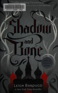 Sombra e Ossos: Resumo e Análise do Livro de Leigh Bardugo